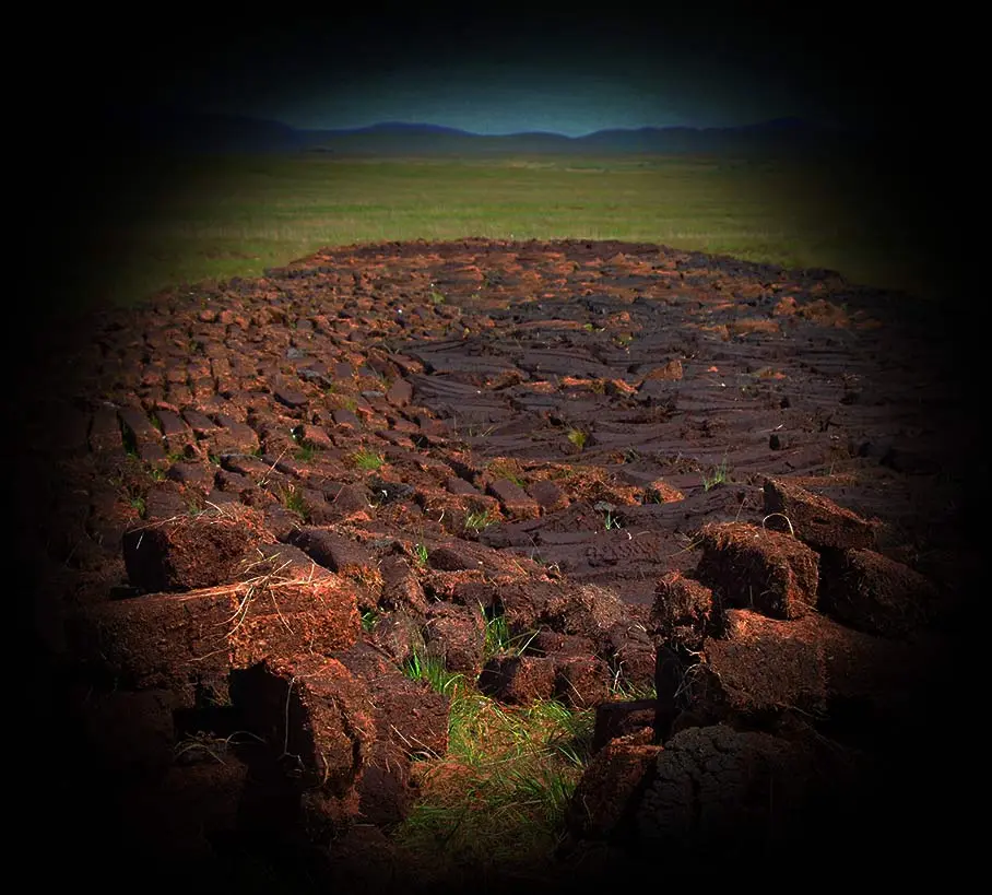 Peat use in whisky
